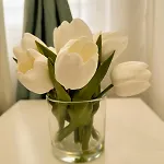 Appartement Vibe S31 ,ac,free Parking Székesfehérvár