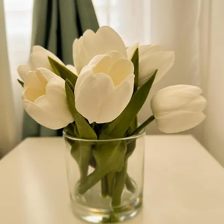 Appartement Vibe S31 ,ac,free Parking Székesfehérvár