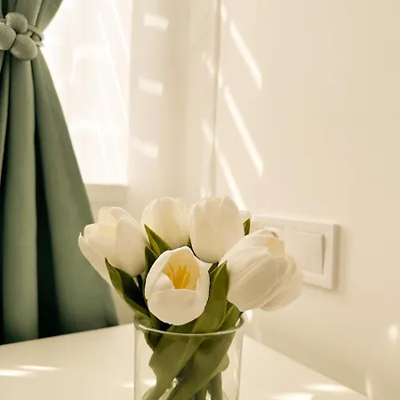 Vibe S31 ,ac,free Parking Lägenhet *